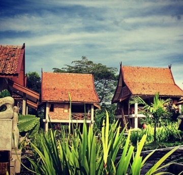 tes 7